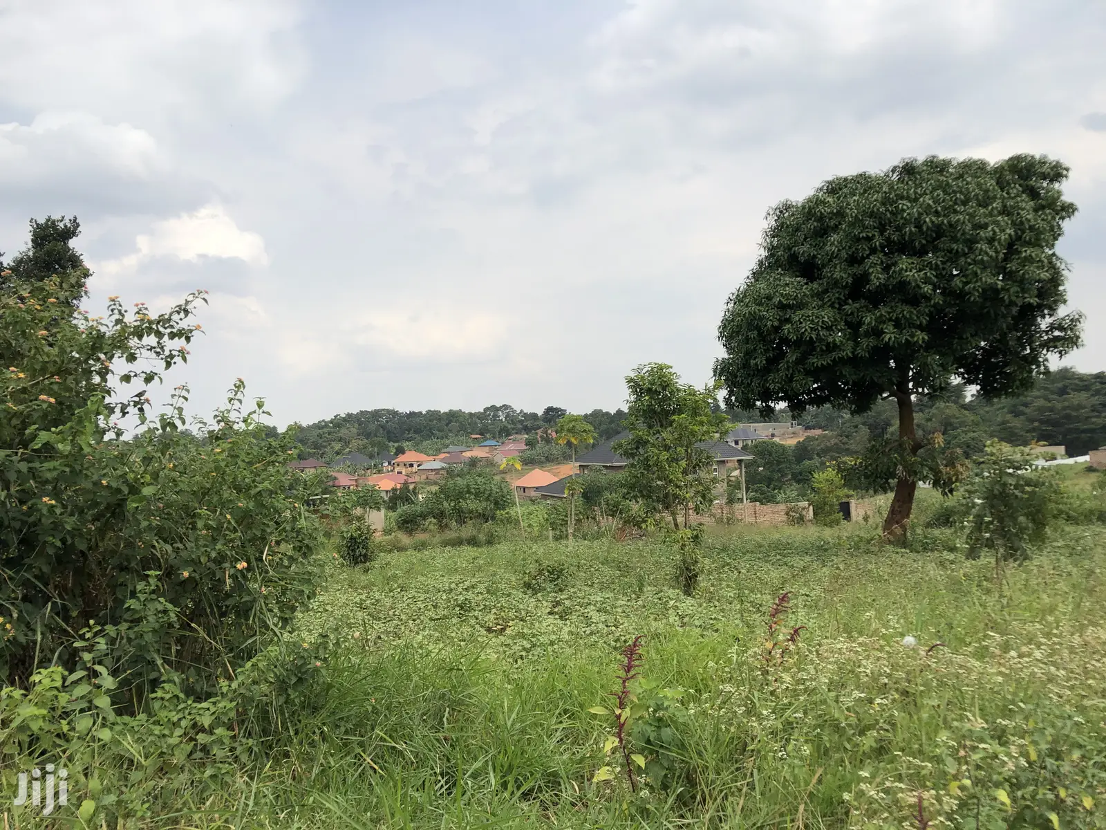 Kira Beautiful Plot Near the Main Road on Quick Sale in Kampala