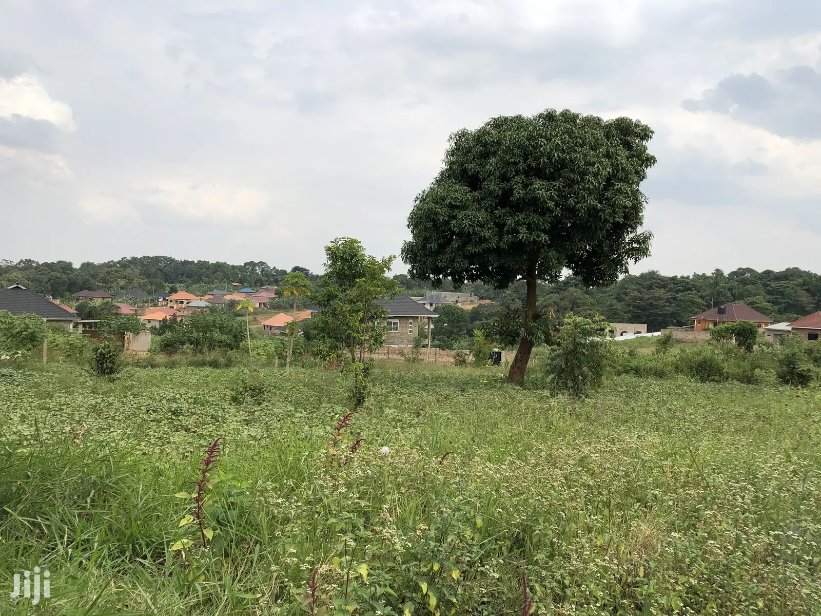 Kira Beautiful Plot Near the Main Road on Quick Sale in Kampala