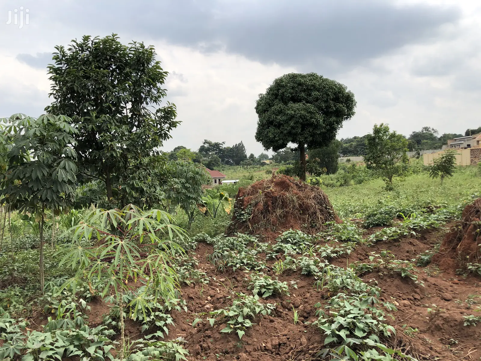 Kira Beautiful Plot Near the Main Road on Quick Sale in Kampala