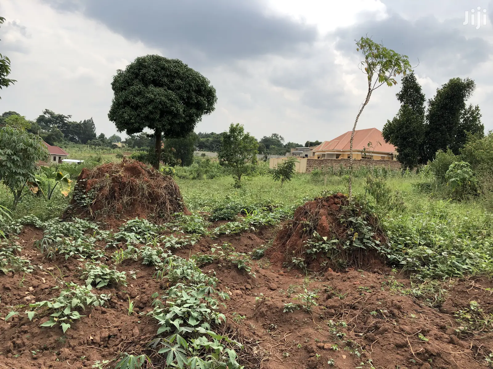 Kira Beautiful Plot Near the Main Road on Quick Sale in Kampala