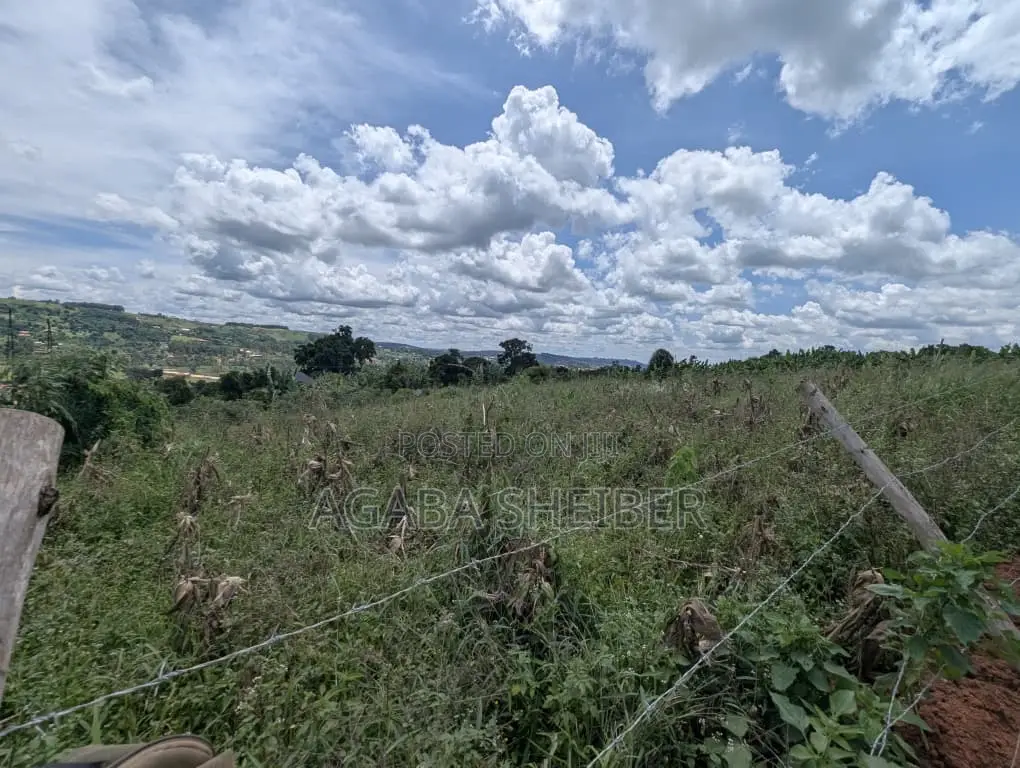 Plots for Sale in Wakiso / Wakiso