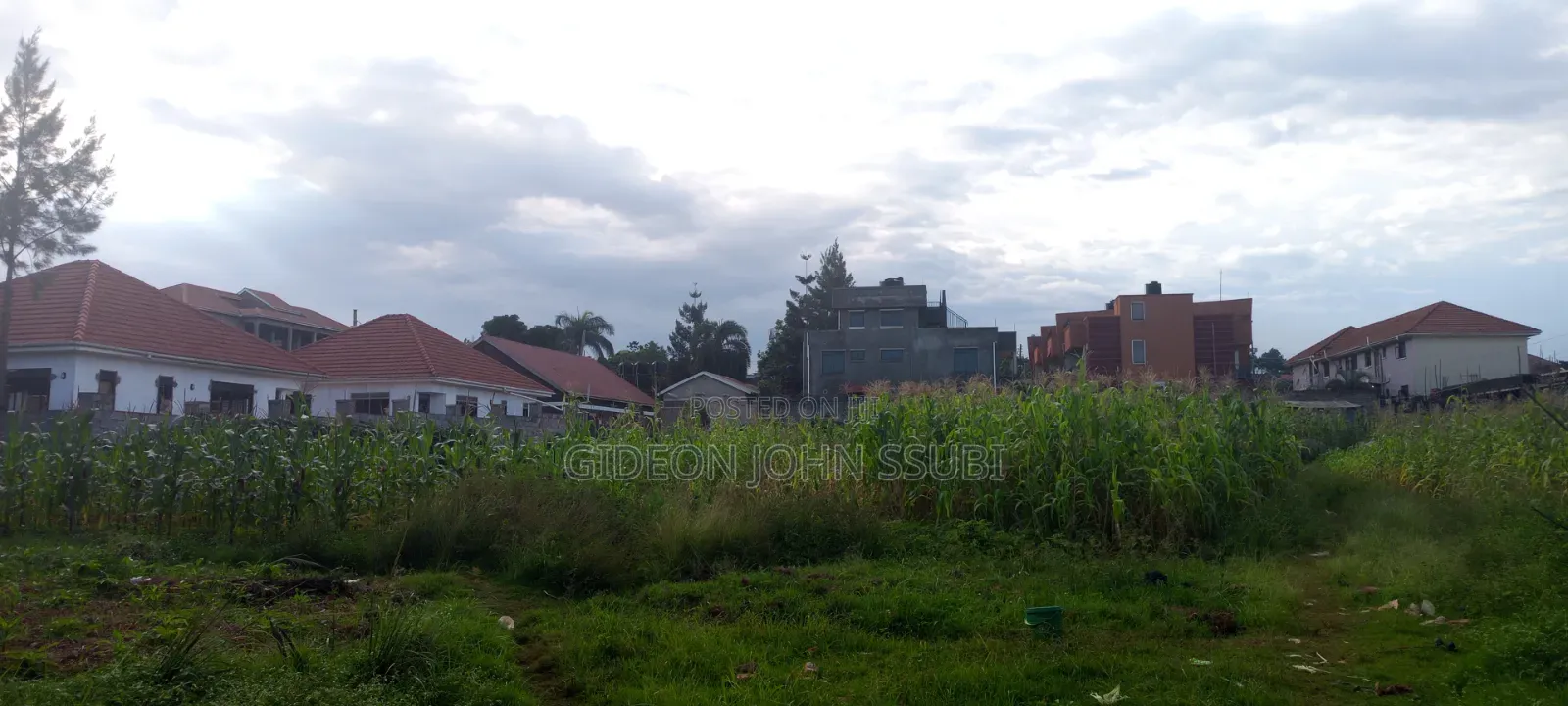 8 Decimals Private Mailo Land in Bukasa Muyenga in Makindye