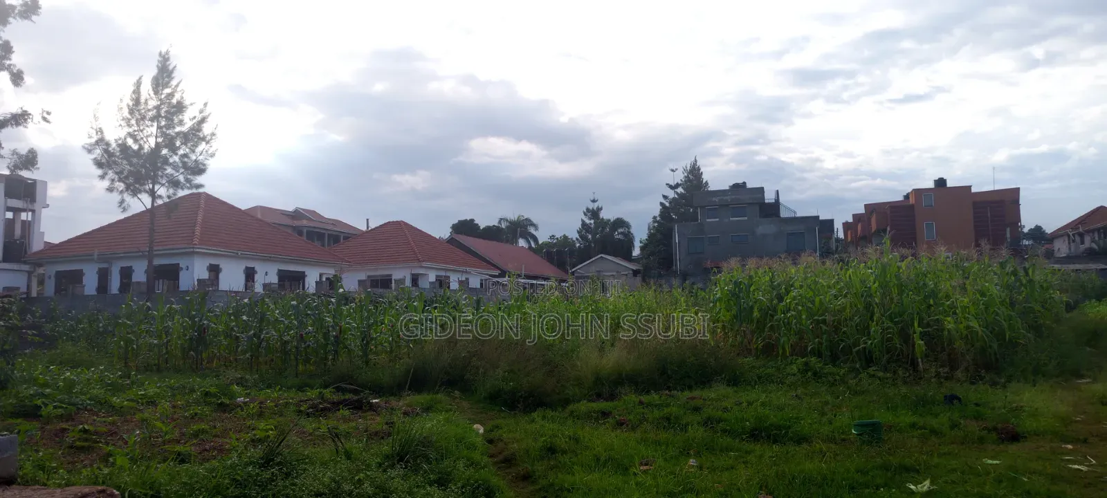 8 Decimals Private Mailo Land in Bukasa Muyenga in Makindye
