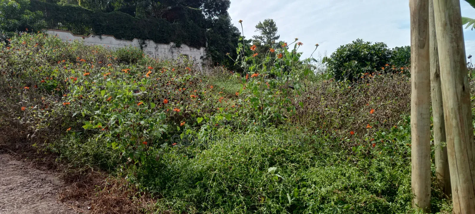 23 Decimals Prime Land in Muyenga in Makindye