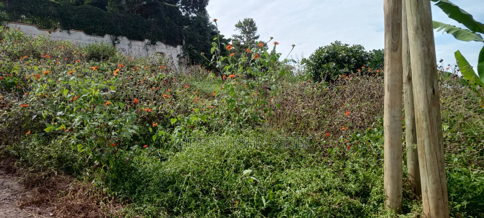 23 Decimals Prime Land in Muyenga in Makindye