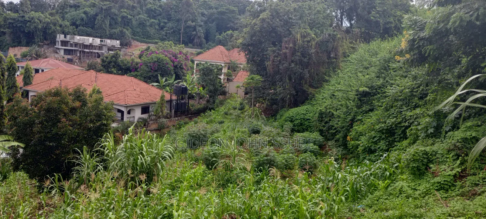 60 Commercial Land in Muyenga in Makindye