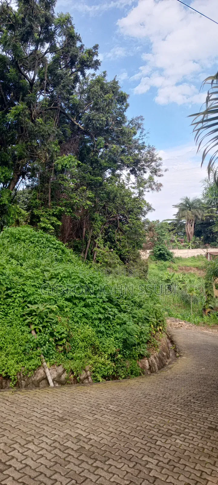 60 Commercial Land in Muyenga in Makindye