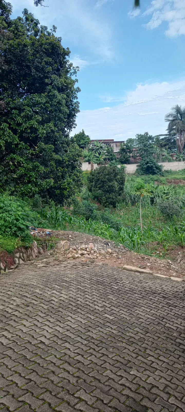 60 Commercial Land in Muyenga in Makindye