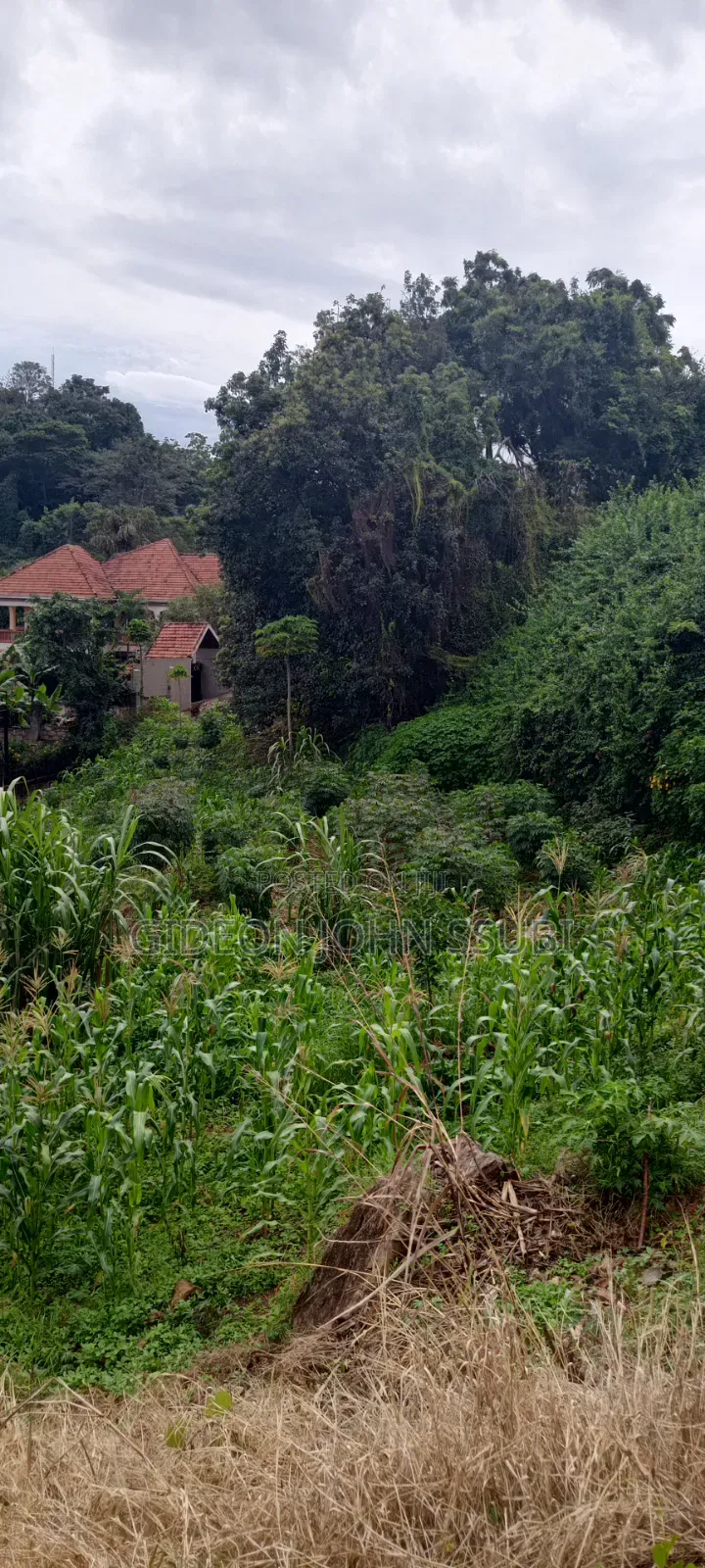 60 Commercial Land in Muyenga in Makindye