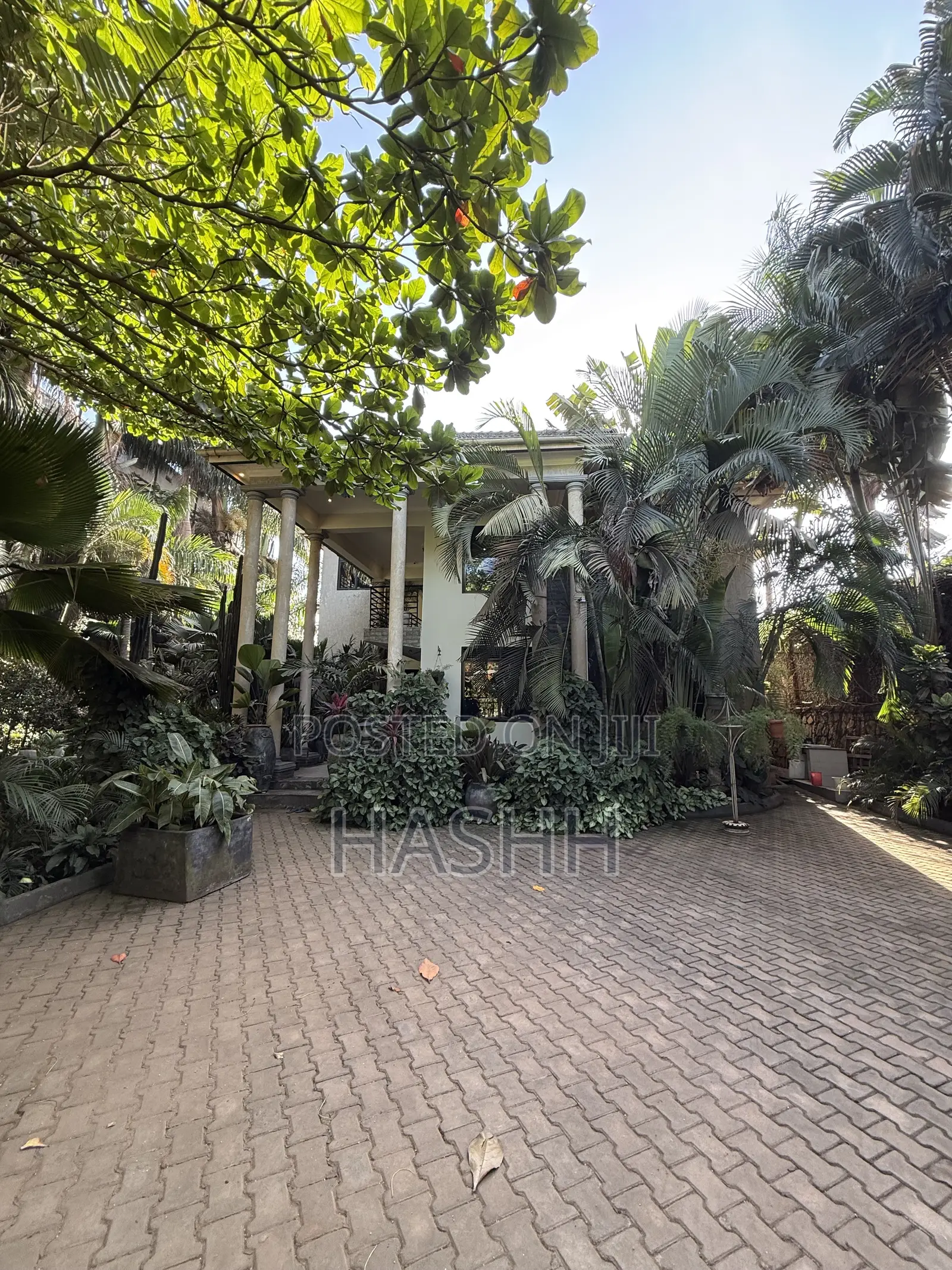 6bdrm House in Kansanga, Central Division for rent in Central Division