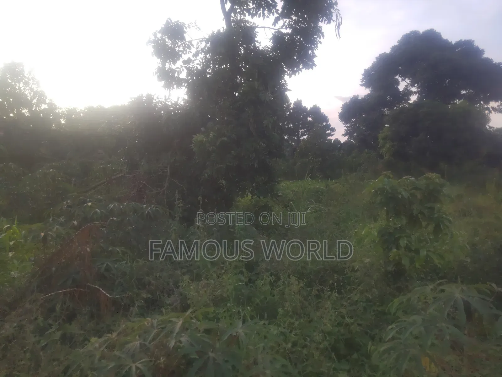 Njako Nkumba Lake View Acre on Sale in Katabi