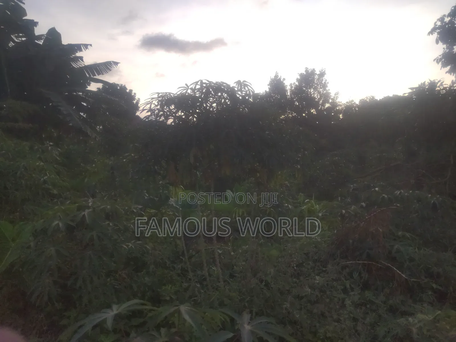Njako Nkumba Lake View Acre on Sale in Katabi