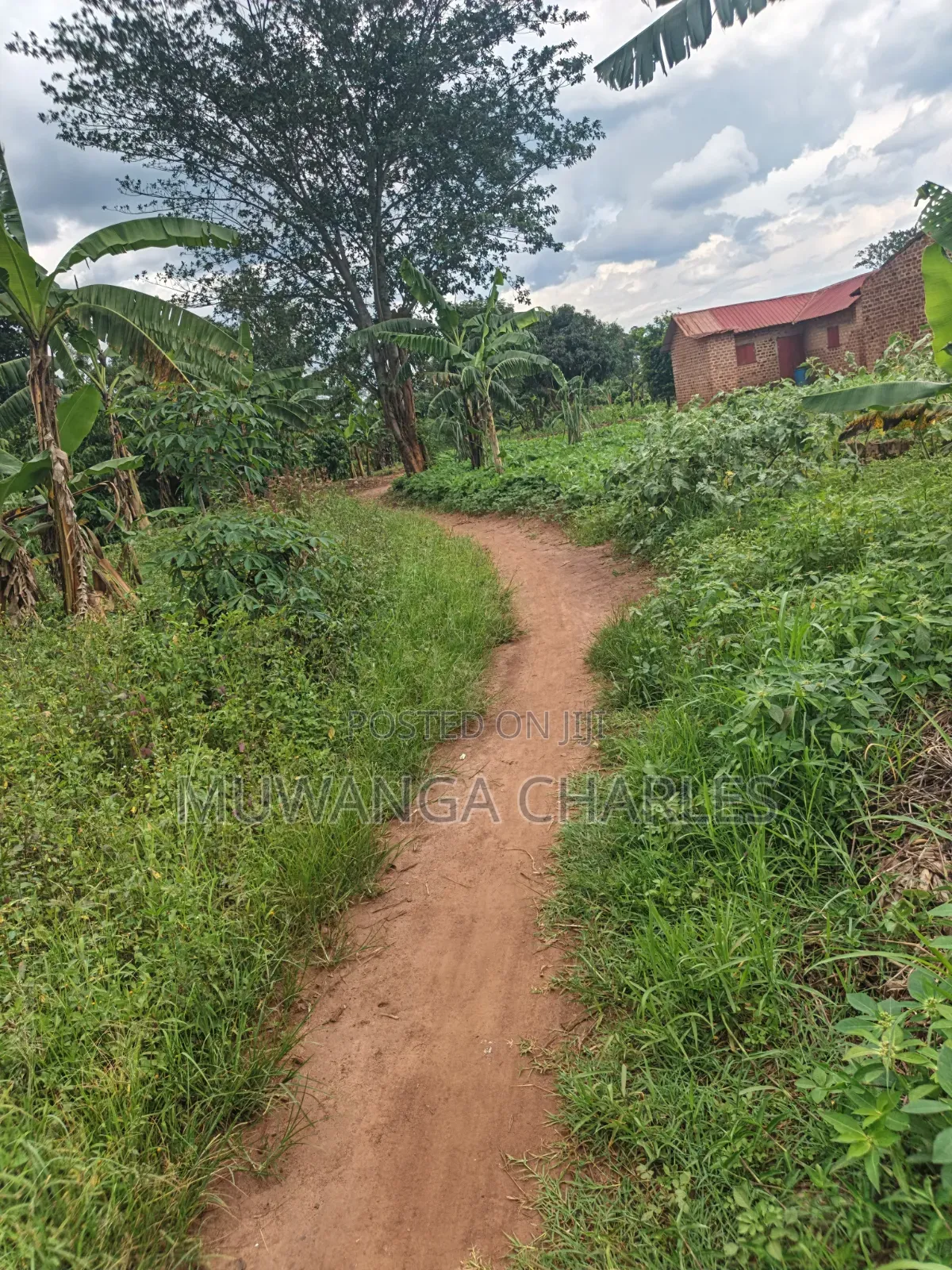 Land for Sale in Kakala Zirobwe in Luwero / Luwero