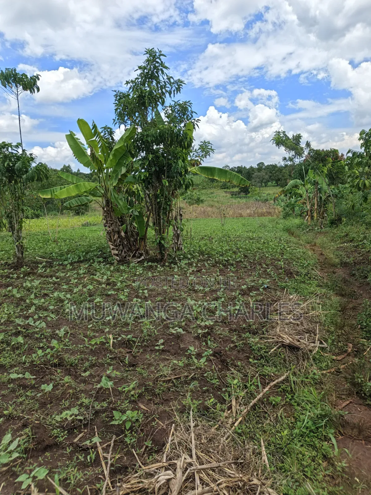 Land for Sale in Kakala Zirobwe in Luwero / Luwero