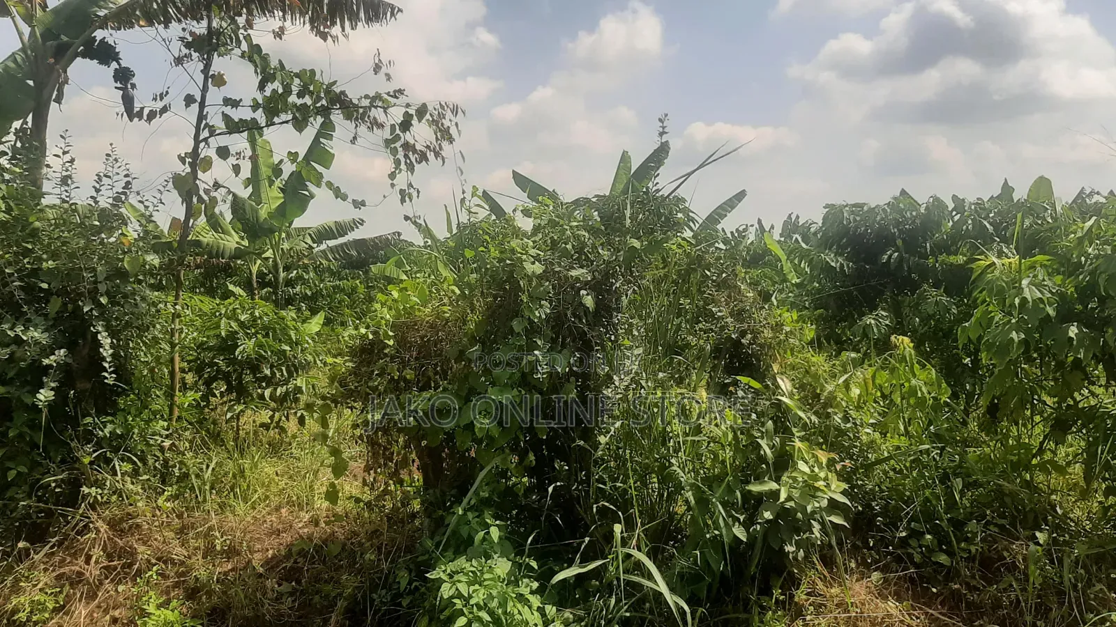 8 Acres in Kakerenge for Sale in Gombe