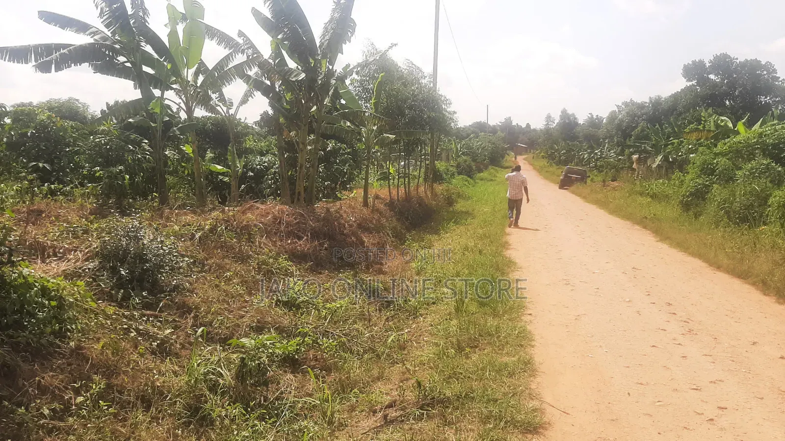 15 Acres for Sale in Bombo in Bombo TC