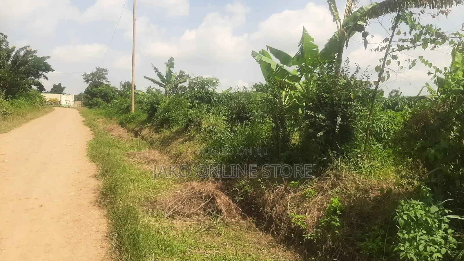15 Acres for Sale in Bombo in Bombo TC