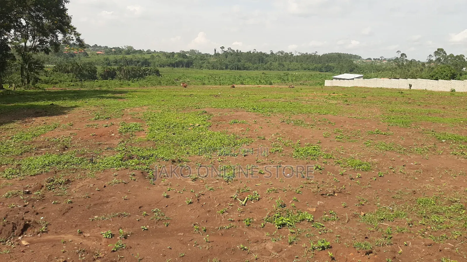 6 Acres in Kigogwa for Sale in Gombe
