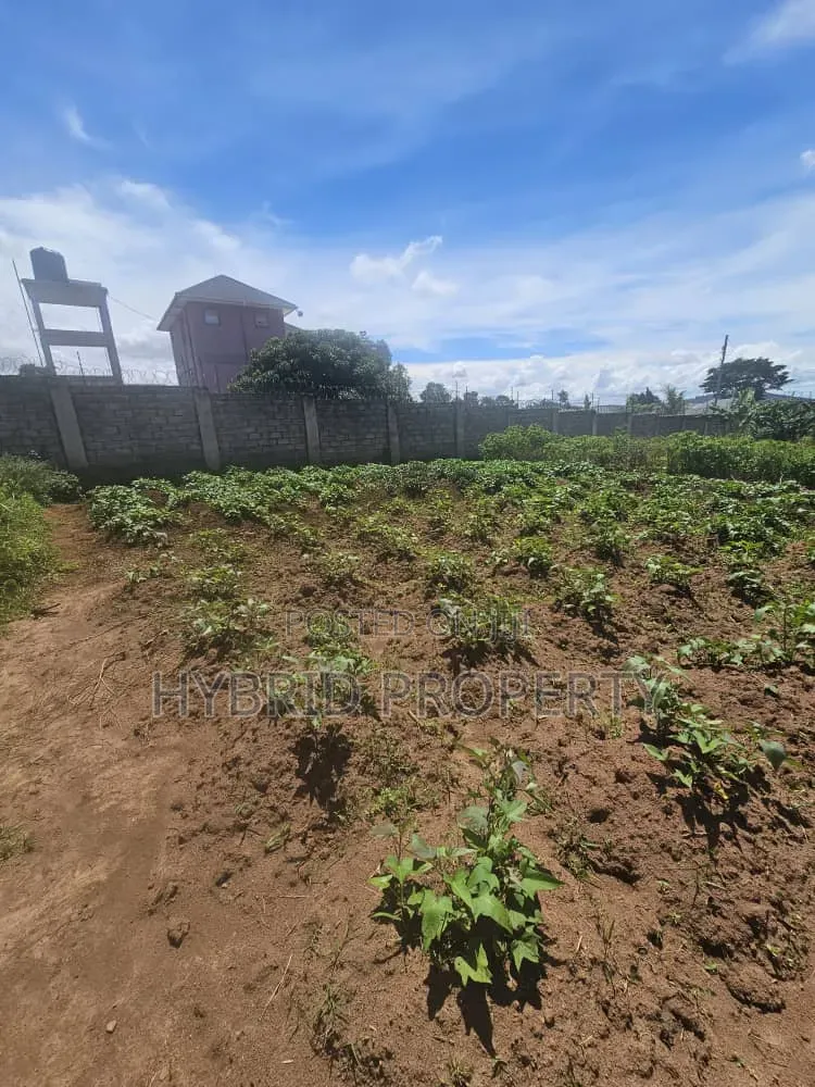 Prime 40 Decimals of Land for Sale at Bweya~Kajjansi Lakeview in Ssisa