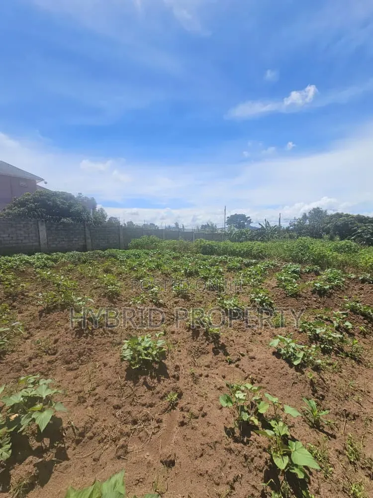 Prime 40 Decimals of Land for Sale at Bweya~Kajjansi Lakeview in Ssisa