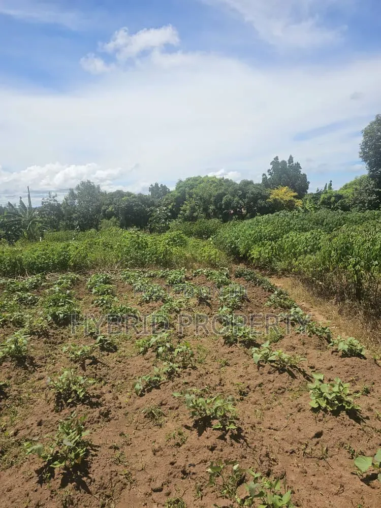 Prime 40 Decimals of Land for Sale at Bweya~Kajjansi Lakeview in Ssisa