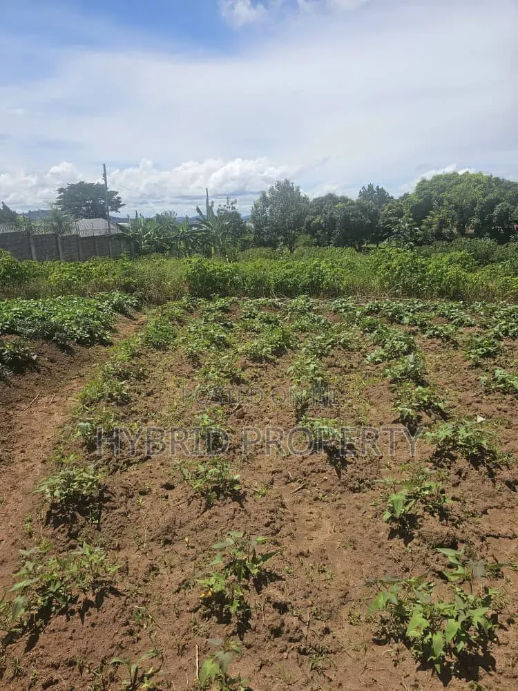 Prime 40 Decimals of Land for Sale at Bweya~Kajjansi Lakeview in Ssisa