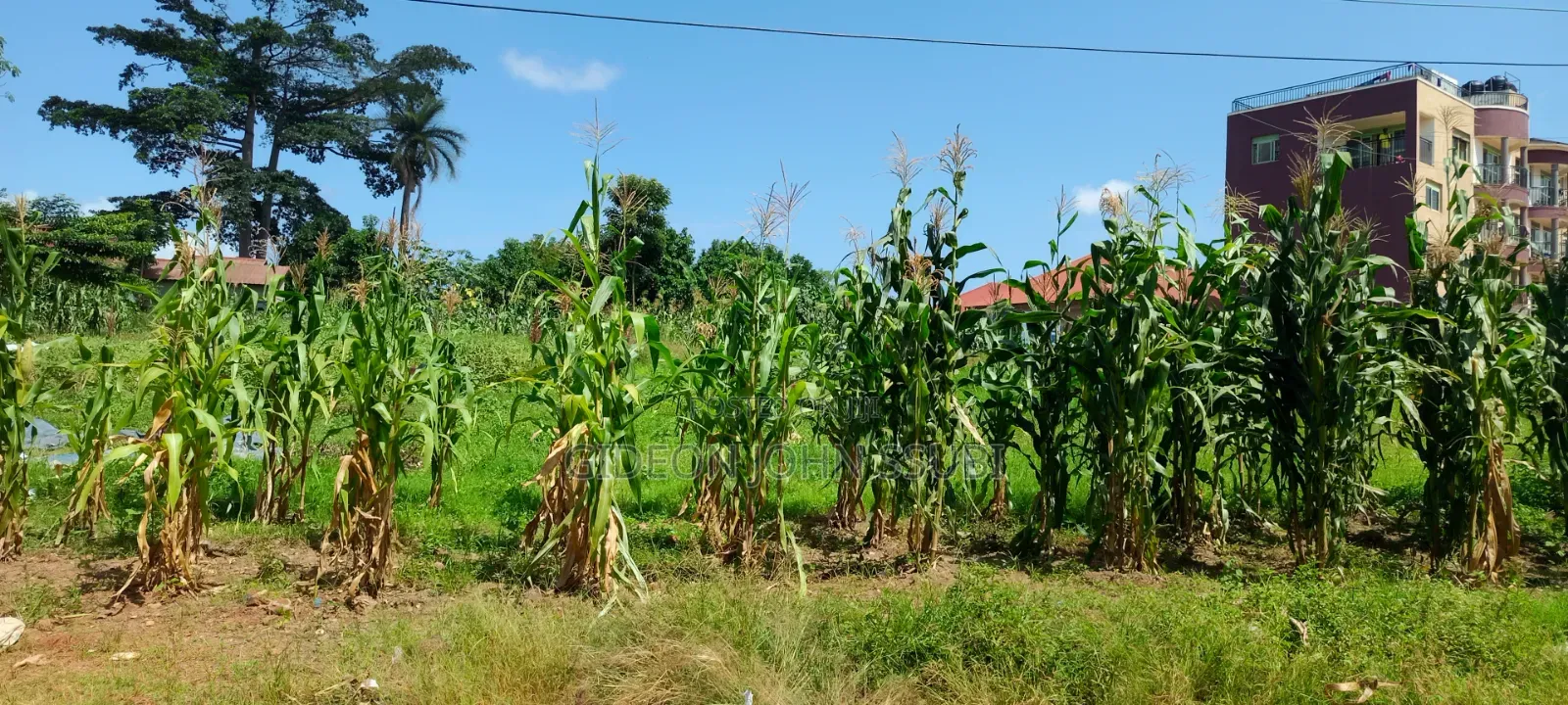 25 Decimals Prime Land in Bunga in Makindye