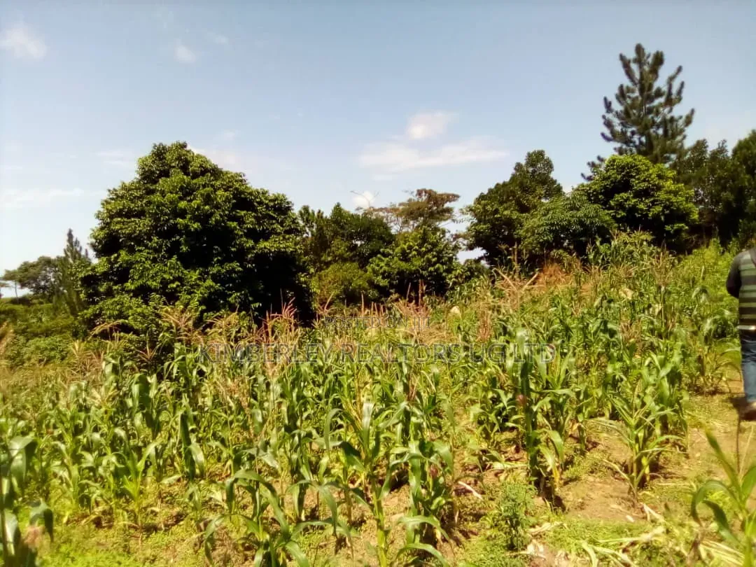 8 Acres Lake View Land – Mpata Nakitto Village (Mukono) at 50m/Acre in Mukono TC