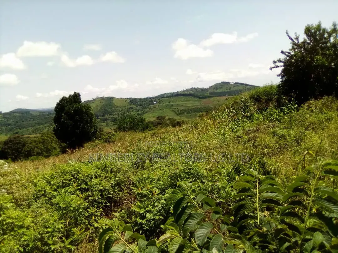 8 Acres Lake View Land – Mpata Nakitto Village (Mukono) at 50m/Acre in Mukono TC