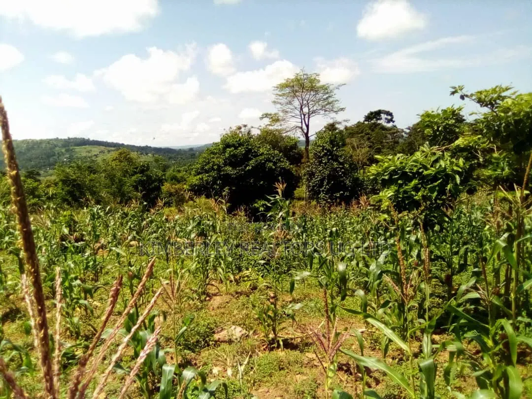 8 Acres Lake View Land – Mpata Nakitto Village (Mukono) at 50m/Acre in Mukono TC
