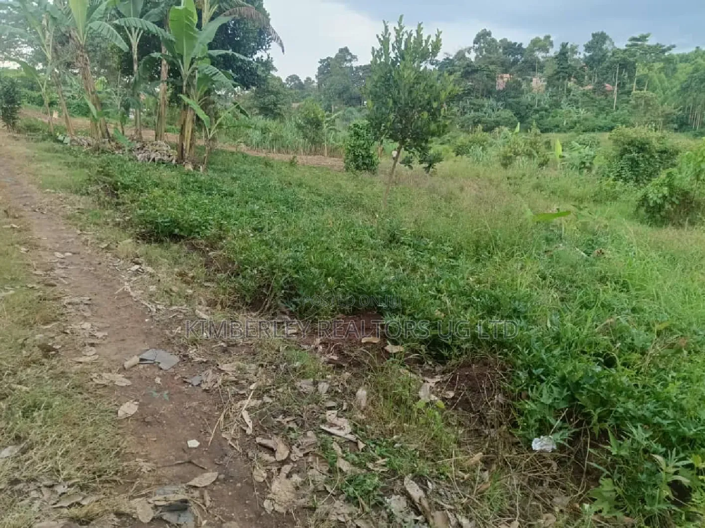 12 Decimals Prime Plot – Seeta (Namugongo Road) at 45m in Kira