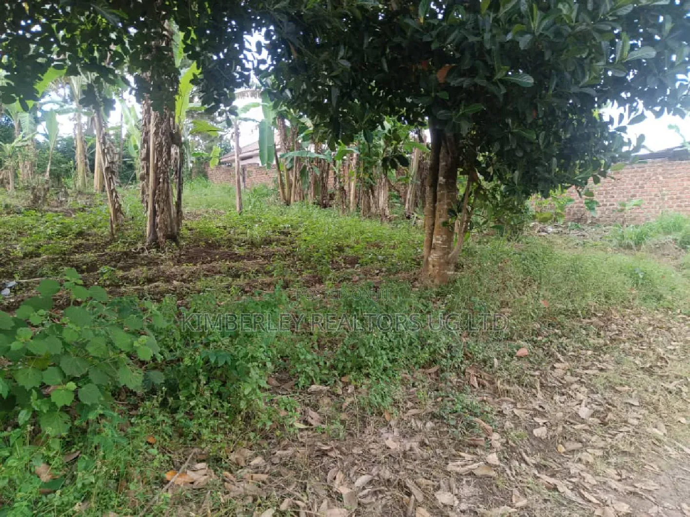 12 Decimals Prime Plot – Seeta (Namugongo Road) at 45m in Kira