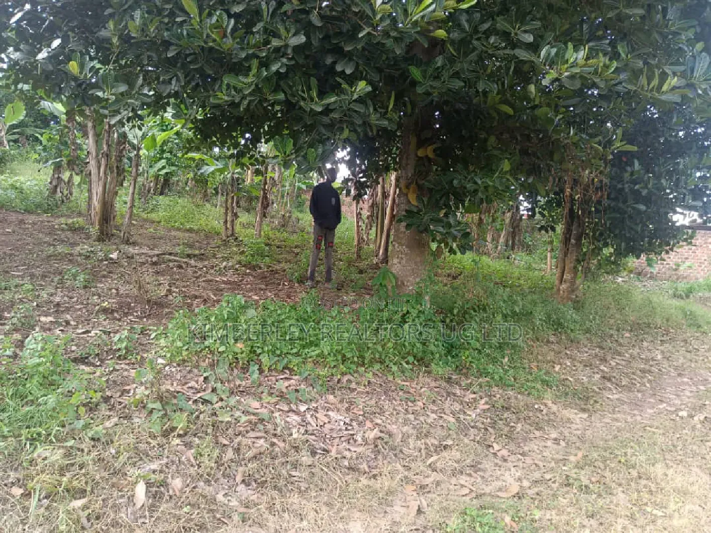 30 Decimals Prime Land – Kololo at in Central Division