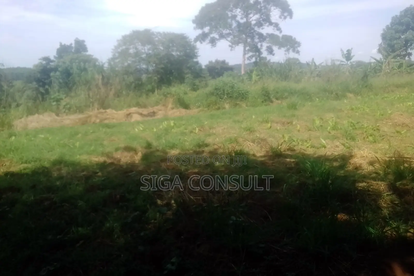 33 Acres of Cammercial Land Is on Sale at 120m in Kasayi Road, Mukono in Goma