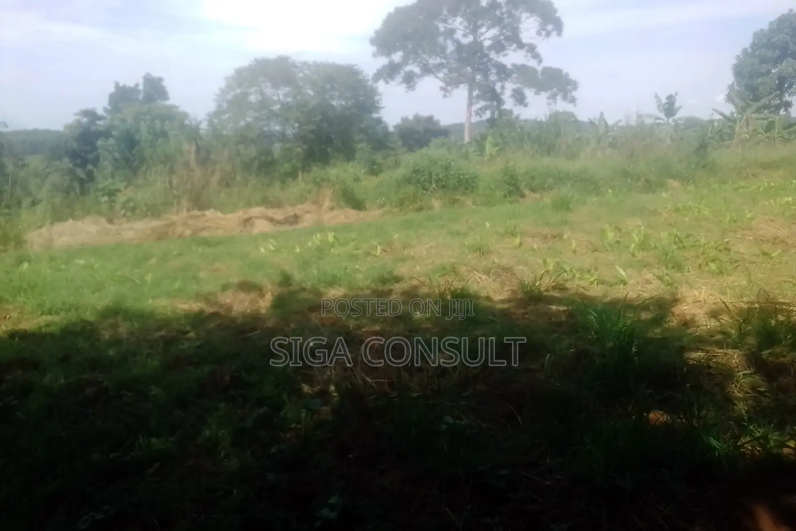 33 Acres of Cammercial Land Is on Sale at 120m in Kasayi Road, Mukono in Goma