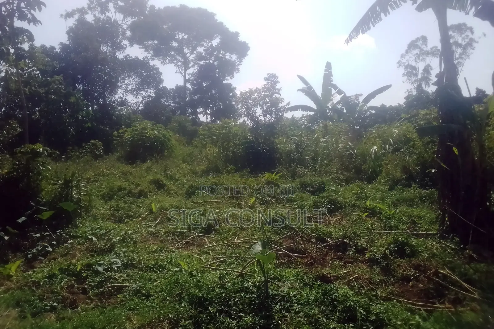 33 Acres of Cammercial Land Is on Sale at 120m in Kasayi Road, Mukono in Goma