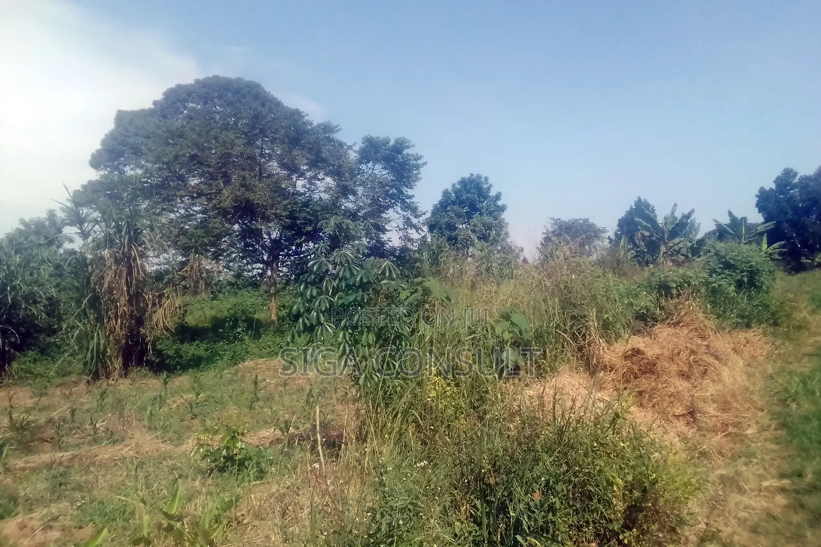33 Acres of Cammercial Land Is on Sale at 120m in Kasayi Road, Mukono in Goma