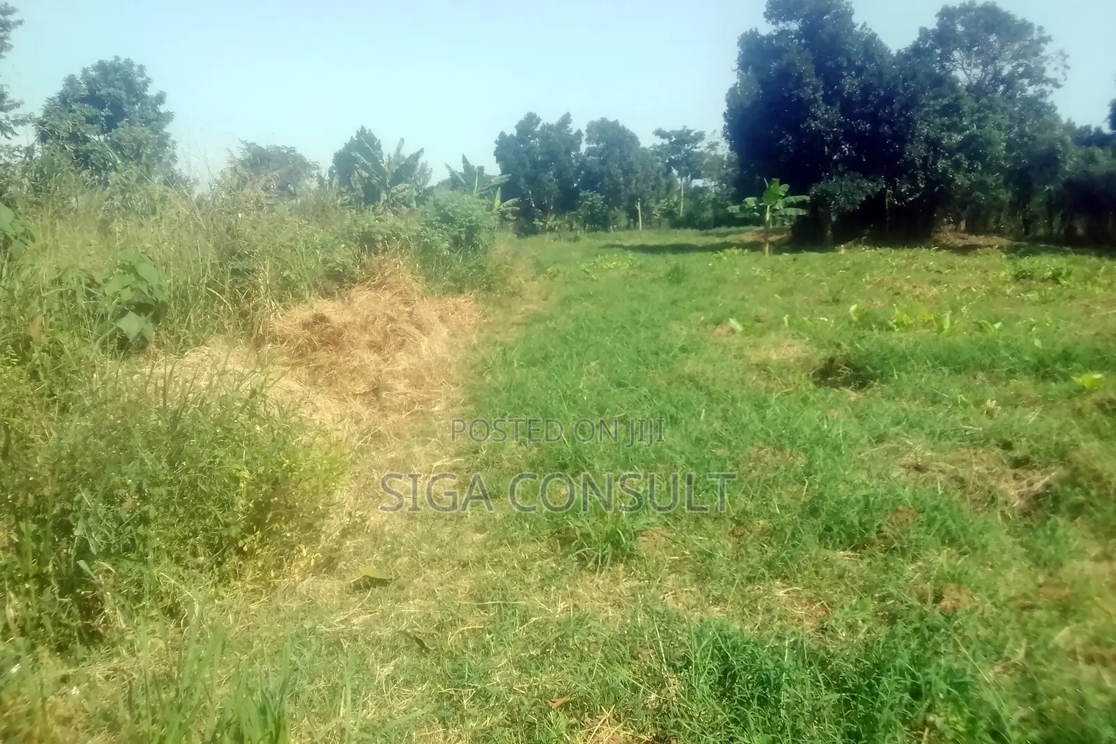 33 Acres of Cammercial Land Is on Sale at 120m in Kasayi Road, Mukono in Goma