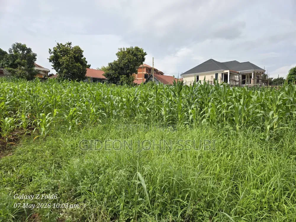 35 Decimals Commercial Land in Kamwokya in Central Division