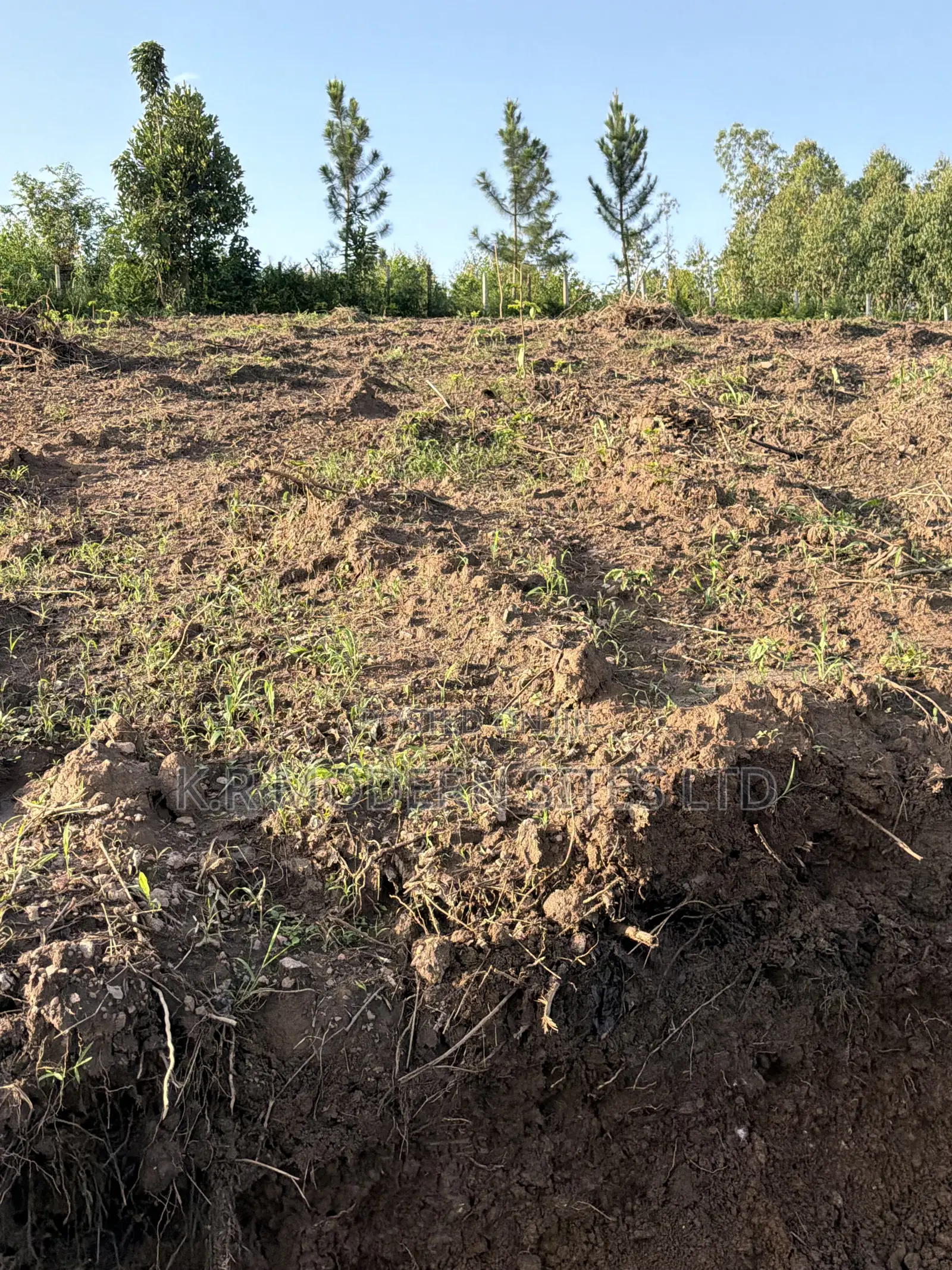100*100ft Plot in Gobero Wakiso in Kakiri