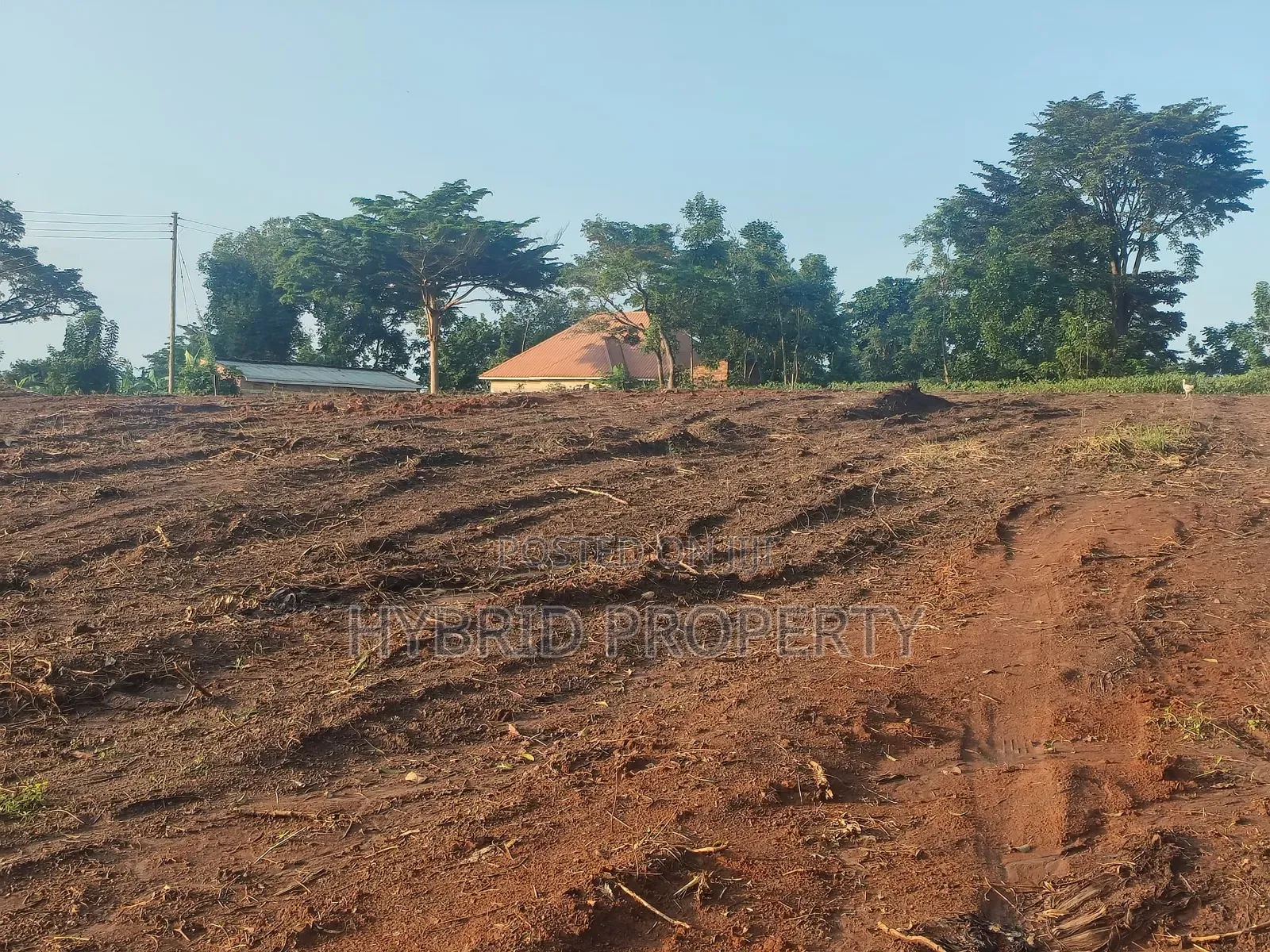 Prime Plots for Sale at Kakiri~Nampunge Town Tarmac View Modern Estate in Kakiri