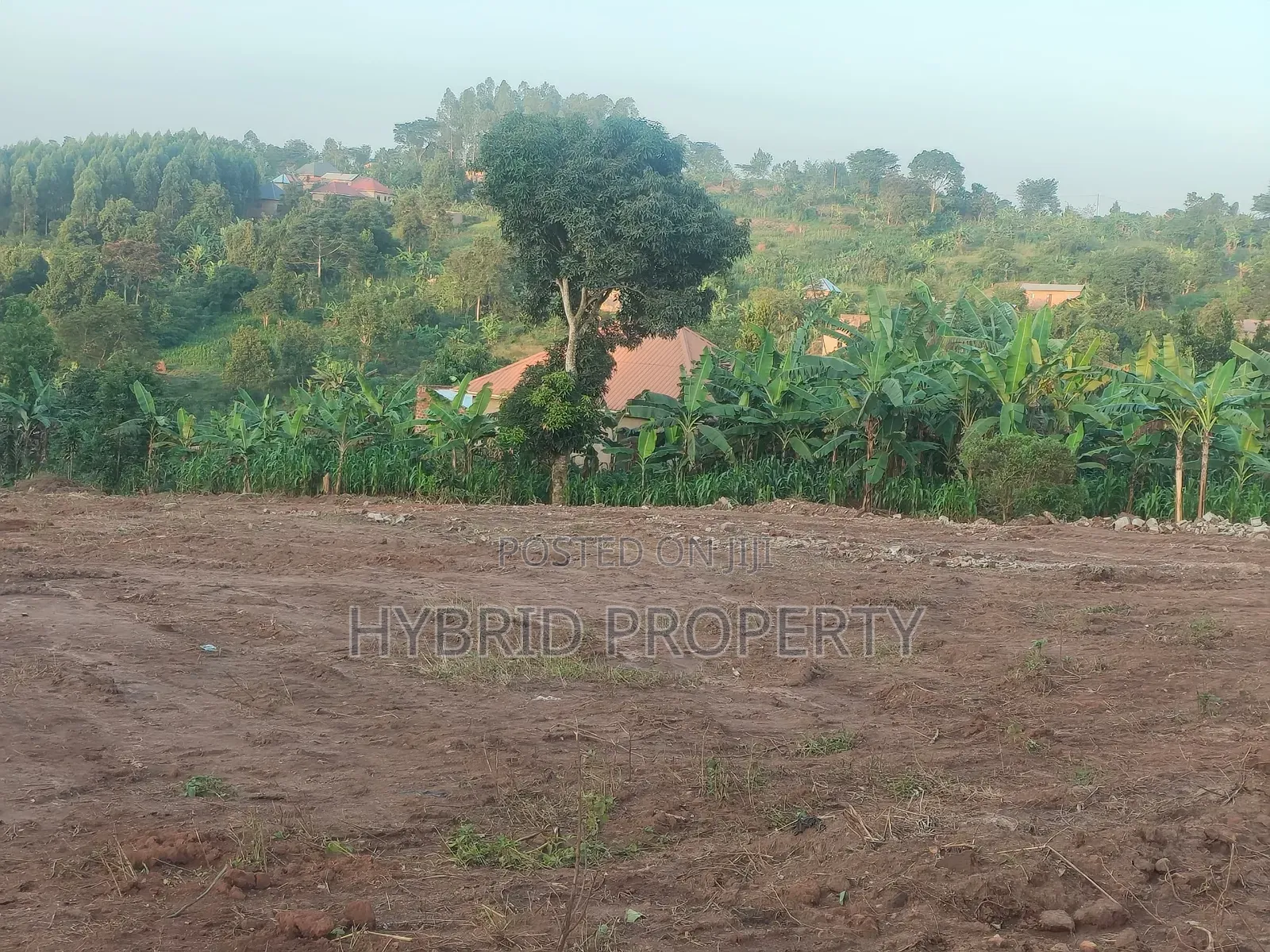 Prime Plots for Sale at Kakiri~Nakyerongosa Along Hoima Road. in Kakiri
