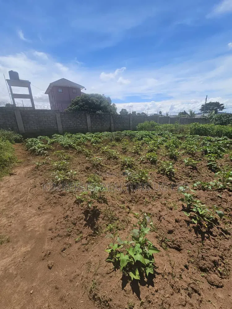 40 Decimals Lake View Land – Bweya (Entebbe Road) at 220m in Ssisa
