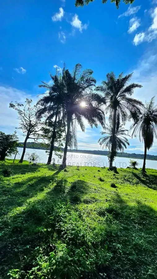 Primary School Property – Buikwe District (Nyenga–Jinja Road) at 280m in Division B