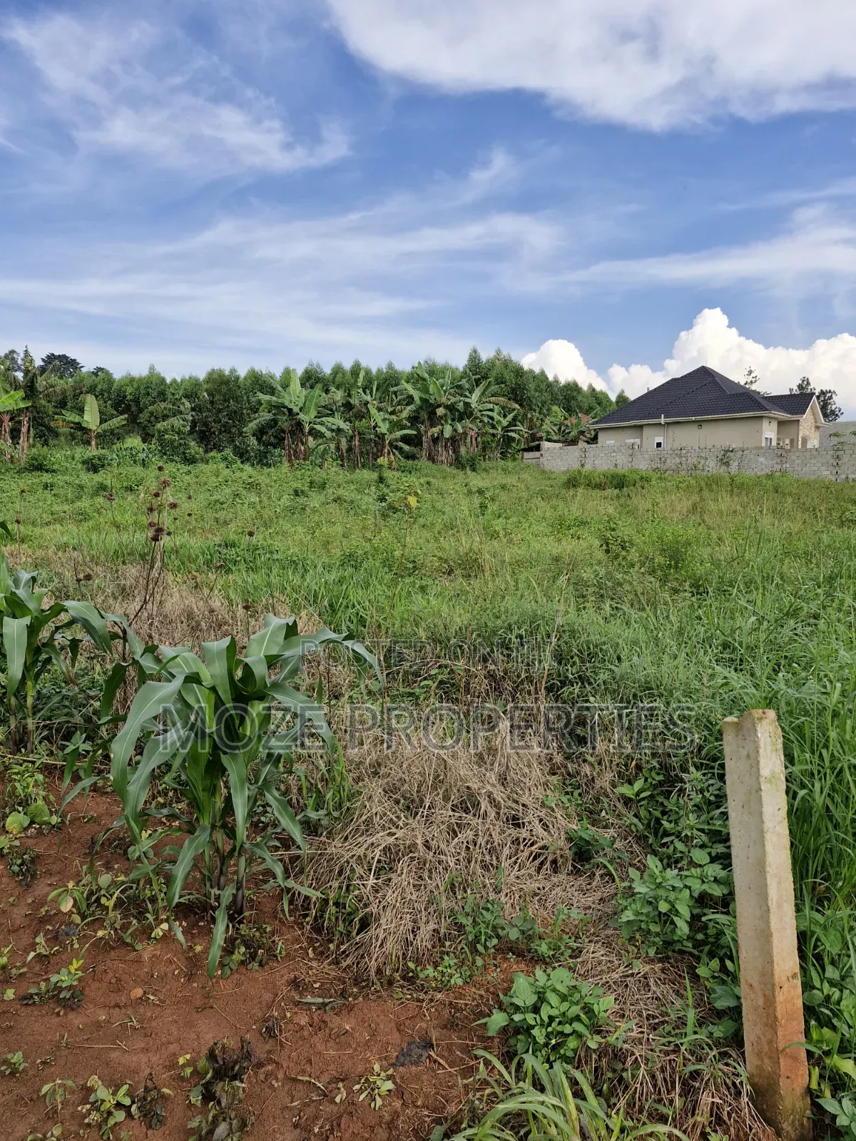 50x100 Plots for Sale in Nakasaja Gayaza. in Central Division