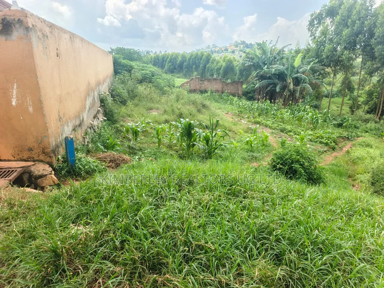 100×100 Plot – Namulanda Lutembe (Entebbe Road) at 150m in Ssisa