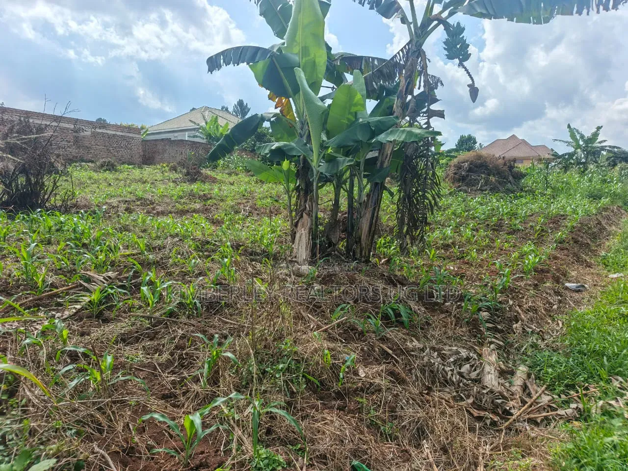 1⁄2 Acre Land – Bwerenga Bugiri (Entebbe Road) at 250m in Katabi