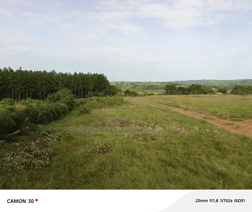 100×100 Plot – Lutaba (Entebbe Road) at 90m in Ssisa