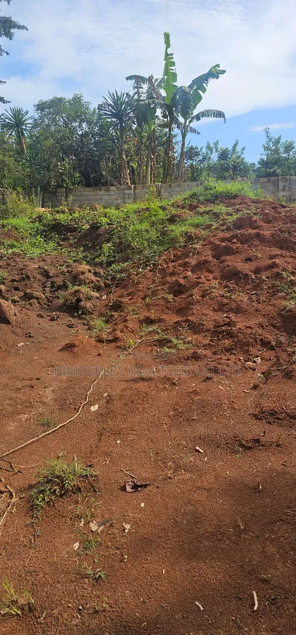 50×100 Plot – Wamala (Entebbe Road) at 60m in Ssisa
