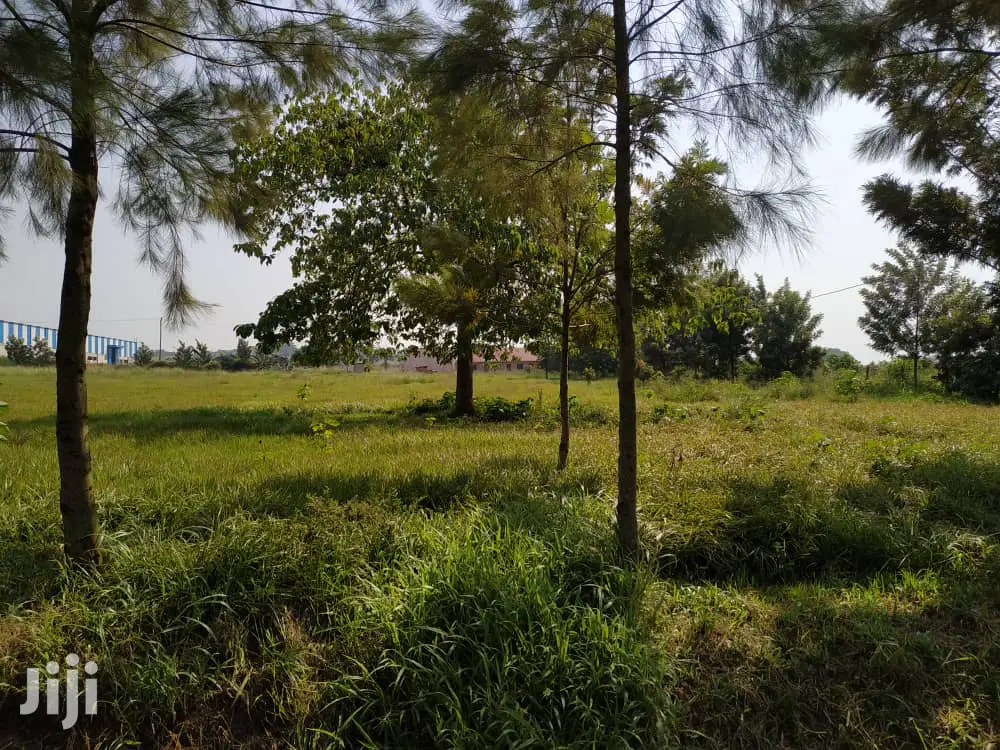 Industrial Land For Sale in Jinja